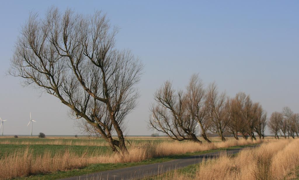 Landhaus Krabbe Von Greetsiel Exteriér fotografie