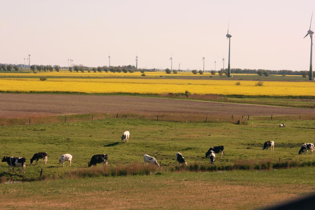 Landhaus Krabbe Von Greetsiel Exteriér fotografie